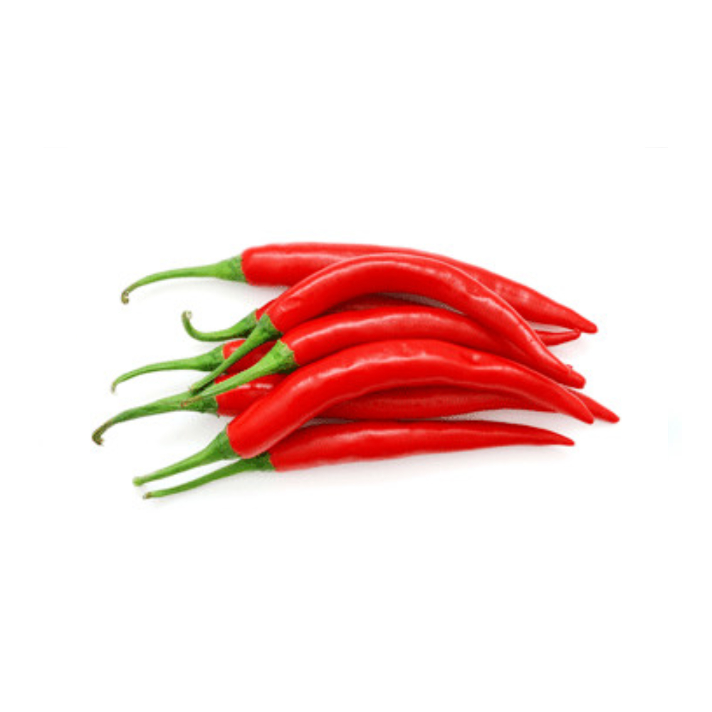 Cabe Merah Besar